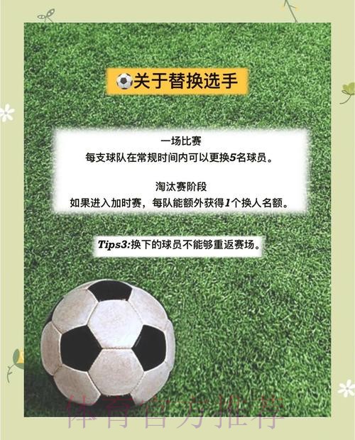 世界杯投注策略全解：热门方案一览